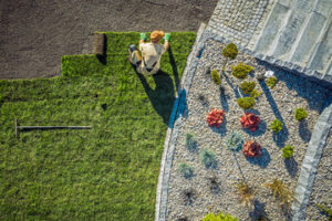 landscaping services